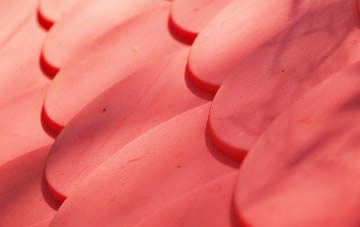 Catslip plastic roof costs