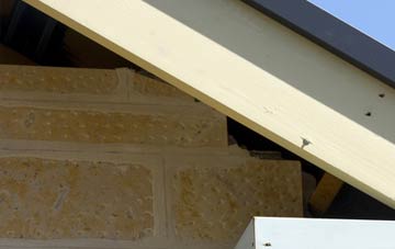 soffit repair Catslip