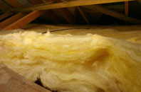 Catslip pitch roof insulation
